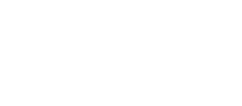lg servis